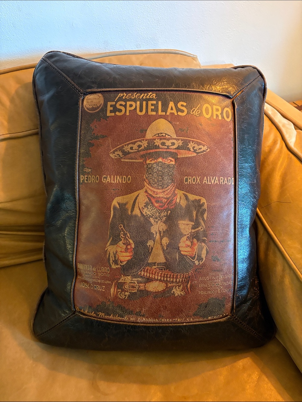 Espuelas de Oro Graphic Leather Accent Pillow in Black & Brown